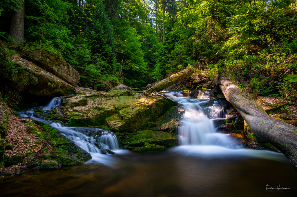 Ilsefälle im Harz - Sachsen-Anhalt
