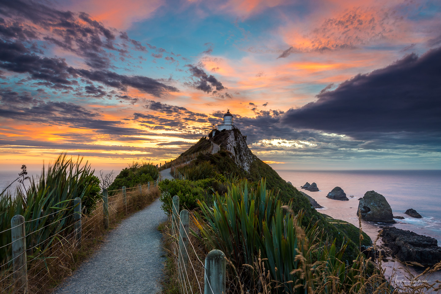 Nugget Point