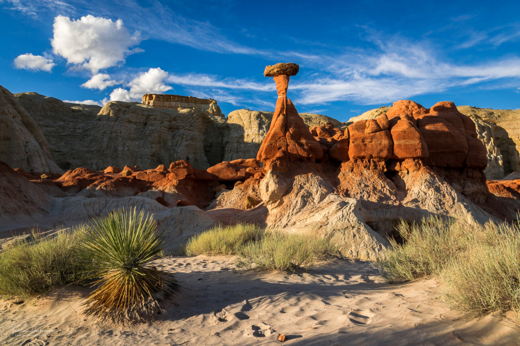 Toadstool Hoodoo - Utah